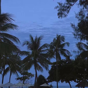 天堂tv亚洲tv日本tv欧美人tv
